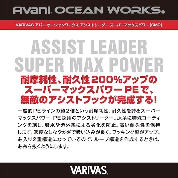 オーシャンワークス アシストリーダーSMP